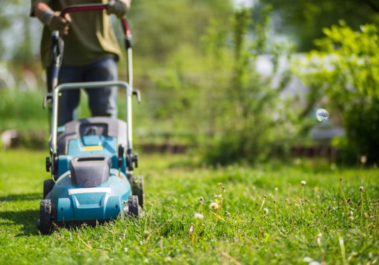 Lawn & Shrub Care